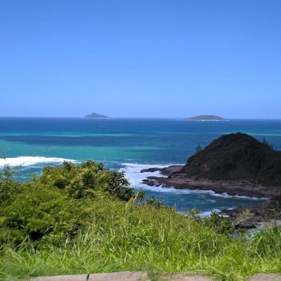 WP 20161119 15 35 04 Pro