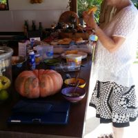 WhatsApp Image 2016 11 09 at 12.12.40