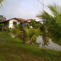 WhatsApp Image 2016 11 18 at 10.36.46